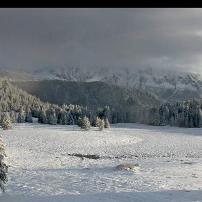 le 06 novembre 2016 Première neige ( Plateau_Arselle)